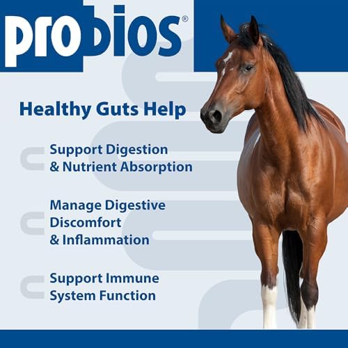 Probios Horse Probiotic Soft Chews, Apple Flavor, 1.32 lb, 2-Pack