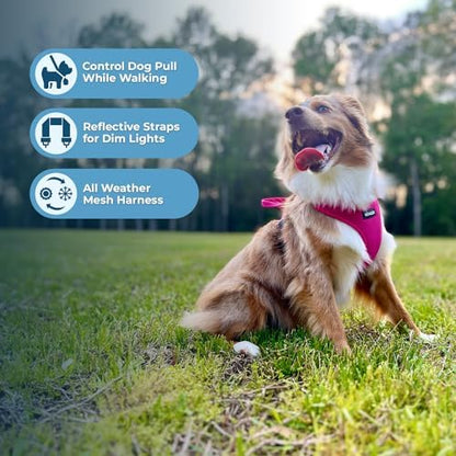Air Frontier Mesh Dog Harness with Steel Leash D-Ring, Reflective Stitching, and Lightweight Breathable No-Pull Design, Adjustable Neck and Chest Straps for Small to Large Breeds - FSW, S