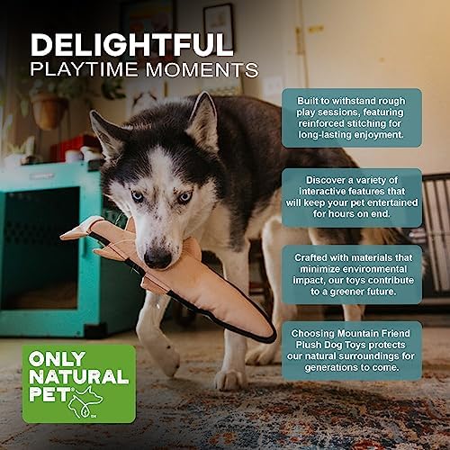 Only Natural Pet Mountain Friends Recycled Plush Dog Toys - Durable Double-Stitched Design with Internal Squeaker, Large Plush Ears & Soft Crinkle Tail - Pet Toy | Tallulah the Trout, 6" x 14.5"
