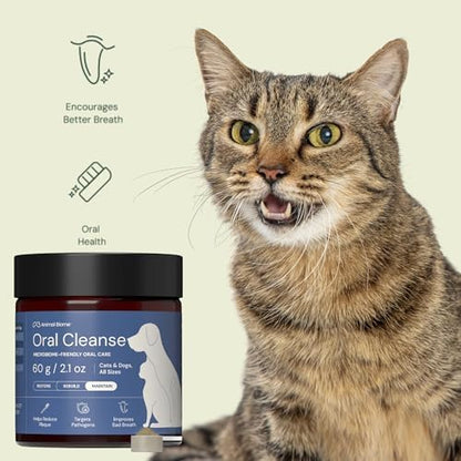 Animal Biome Dog & Cat Dental Powder, Kelp Prebiotic Food Topper, 60g