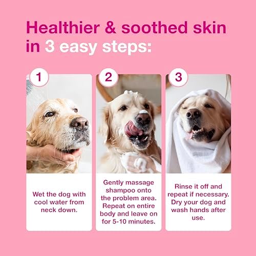 Douxo S3 Calm Dog Shampoo for Itchy Skin Relief, Dog Shampoo for Allergies and Itching, Soothes Itchy, Irritated or Allergic Skin For Dogs and Cats, 16.9 fl oz