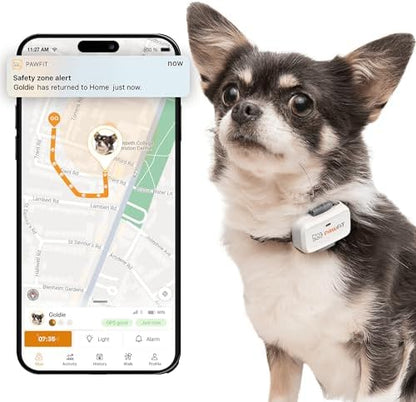 Pawfit Lite 4G GPS Dog Tracker, Live Tracking, Ultra-Light, Simply White