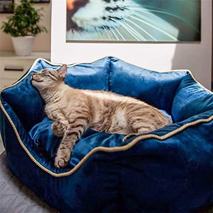 Winter Cats Pet Bed Warm Cats Bed Comfortable Dog Bed Soft Puppy Cats Bed Small Dog Cats Litter Sofa Pet Supplies(Black-JoJo's Bizarre Adventure1,Small)
