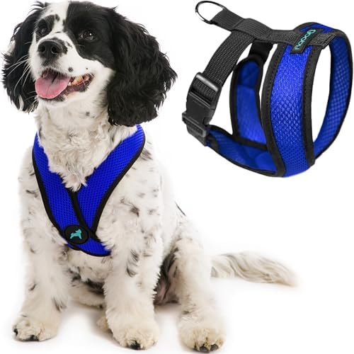 Gooby Comfort X Head-in Dog Harness, Choke-Free, Blue, Small