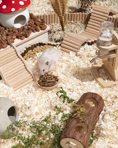 Niteangel Small Animal Snack & Treats: Freeze-Dried Grasshopper & No Add