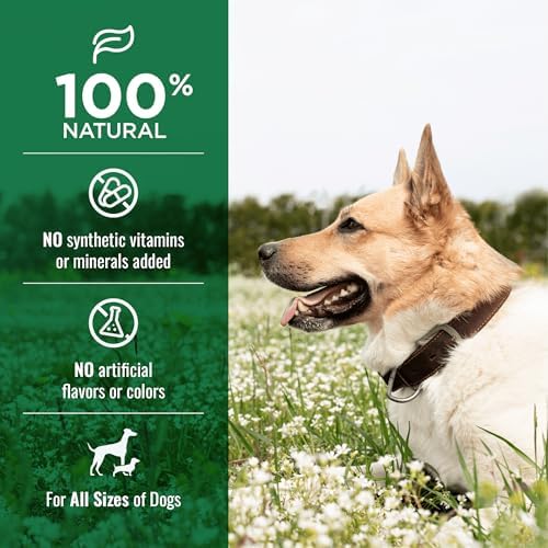 NATURE'S LOGIC All Natural Beef Tendon Chew - Natural Dog Treats