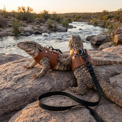 3 Pack Bearded Dragon Leash and Harness Set 3 Size Adjustable Lizard Harness Bearded Dragon Outfits for Reptile Small Animals Training Walking, Easy to Put on and Take Off (Brown)