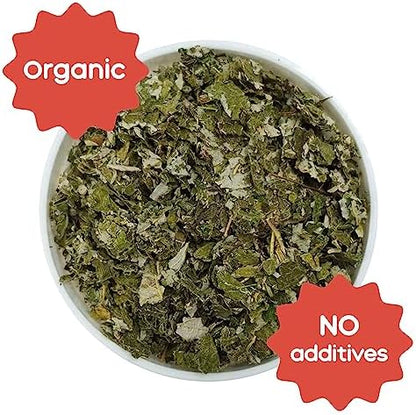 GuineaDad Organic Guinea Pig Herbal Treats - Guinea Pig Food with Convenient Packaging - Raspberry Leaf Flavor - 16 fl. oz - Guinea Pig Treats Help with Bonding - High in Nutrition and Fiber - Large