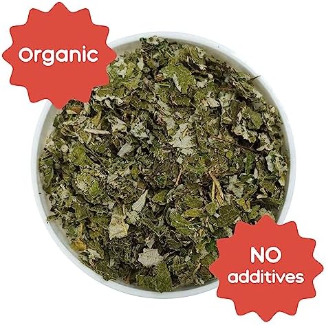 GuineaDad Organic Guinea Pig Herbal Treats - Guinea Pig Food with Convenient Packaging - Raspberry Leaf Flavor - 16 fl. oz - Guinea Pig Treats Help with Bonding - High in Nutrition and Fiber - Large