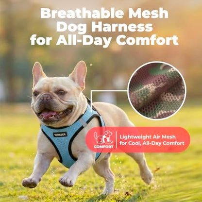 Voyager Step-in Air Dog Vest Harness - Baby Blue/Black Trim, X-Large
