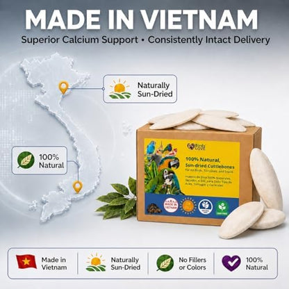 Birds LOVE 3.5-4″ Cuttlebone for Birds – 100% Natural Sun-Dried Calcium Carbonate Mineral Supplement – for Parakeets, Budgies, Cockatiels, Finches & Canaries – 12 Pack with Holder – Made in Vietnam