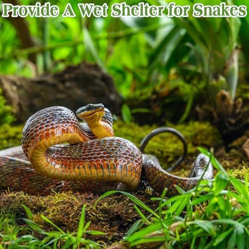 Sphagnum Moss for Reptiles, 3.5 oz Natural Terrarium Bedding Substrate