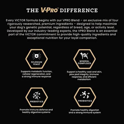VICTOR Super Premium Dog Food – Purpose Hero Canine Kibble – Premium Gluten Free Dog Food for Active Adult Dogs – High Protein with Glucosamine and Chondroitin for Hip and Joint Health, 50lbs