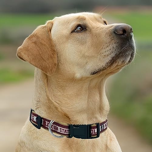 Pets First Collegiate PET Collar OLD VERSION Florida State Seminoles Dog Collar, Size Large. Best Sports Team Collar for Dogs & Cats. A Shiny & Colorful Dog & Cat Collar Licensed by The NCAA