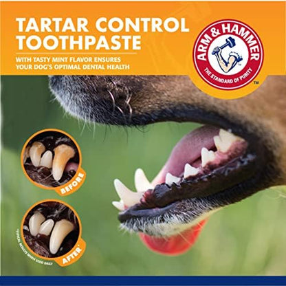 Arm & Hammer Dog Dental Care Fresh Breath Kit, Mint Flavor, 3-Pieces