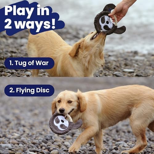 PAWSPIK 2-in-1 Flying Disc & Tug-of-War Dog Toy, Tough Tiger