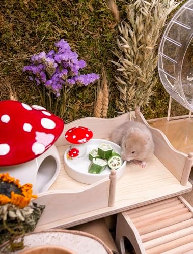 Niteangel Hamster Snack Treat Toy: Freeze-Dried Okra & No Additive