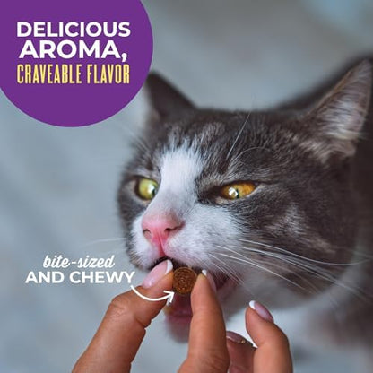 Tiki Cat Soft & Chewy Cat Treats, Chicken Flavor, 6 oz. Pouch