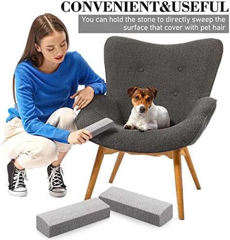 Loopeer 2 Pcs Pet Hair Remover Pumice Stone for Dog Cat Hair Removal Cleaning Pet Fur Stone 6 Inch Dog Fur Cleaning Tool for Car Interior Bedding Carpet Couch Furniture(6 x 2 x 1.6 in)