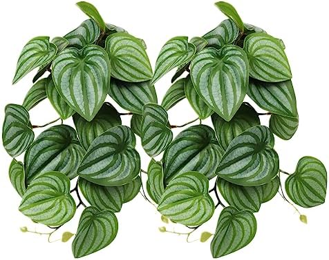 2Pack Fake Calathea Orbifolia, Reptile Habitat Plants with Suction
