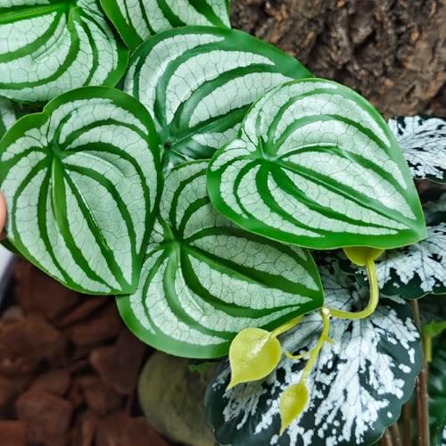 Woyrise Fake Reptile Plants for Terrarium,Tank Decor, Artificial Plant
