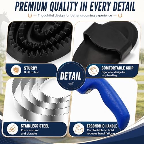 Chengu 2 pcs Reversible Stainless Steel Curry Comb with Rubber Curry, Blue