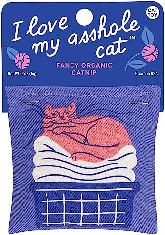 Blue Q Catnip - Cute Cat Toys for Biting with Funny Graphics -I Love My Cat