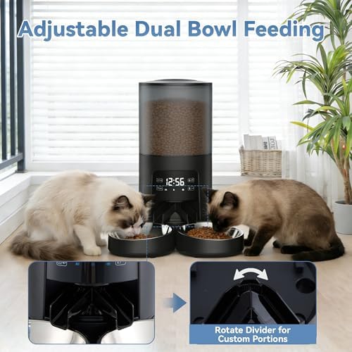 DUMOS 6L Automatic Cat Feeder for 2 Cats, Timed Pet Food Dispenser, Black