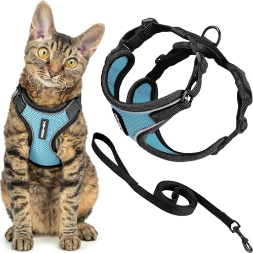 Voyager Escape-Proof Step-in Lock Cat Harness & 5ft Neoprene-Handle Leash Set All-Weather Mesh with Reflective Stitching for Small to Large Cats by Best Pet Supplies, Black Trim-Baby Blue (327), XXS