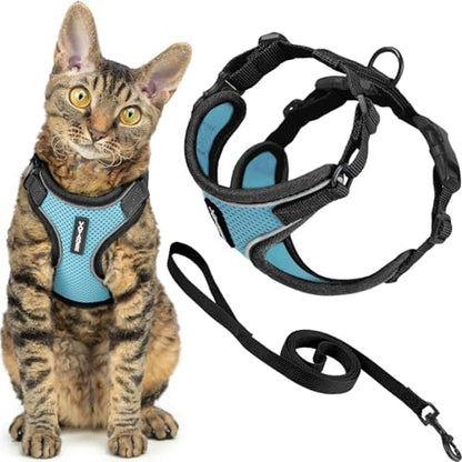 Voyager Escape-Proof Step-in Lock Cat Harness & 5ft Neoprene-Handle Leash Set All-Weather Mesh with Reflective Stitching for Small to Large Cats by Best Pet Supplies, Black Trim-Baby Blue (327), XXS