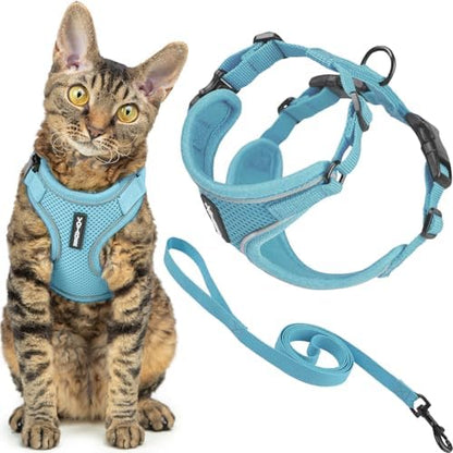 Voyager Escape-Proof Step-in Lock Cat Harness & 5ft Neoprene-Handle Leash Set All-Weather Mesh with Reflective Stitching for Small to Large Cats by Best Pet Supplies, Baby Blue (327), XS
