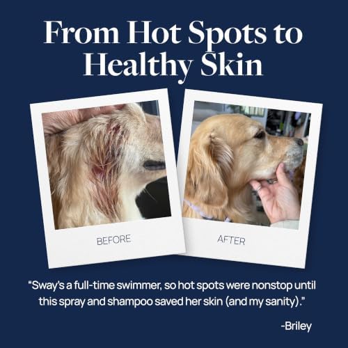Veterinary Formula Clinical Care Hot Spot & Itch Relief Conditioner, 16 oz
