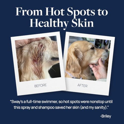 Veterinary Formula Clinical Care Hot Spot & Itch Relief Conditioner, 16 oz