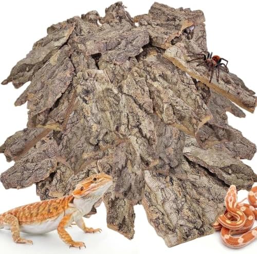 BNOSDM Reptiles Cork Bark Substrate,1.4lb Bearded Dragon Champagne Cork Bark Flats Hide Climbing,Reptiles Wood Bedding Terrarium Decor Tank Accessories for Lizards Snake Gecko Tarantula Isopods（M）