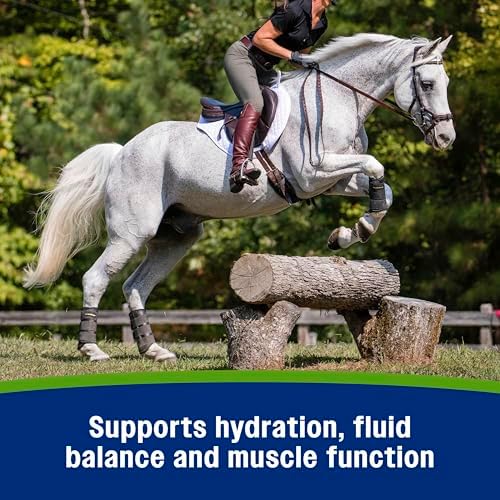 Farnam Apple Elite Horse Electrolytes Powder Supplement, 40 Day Supply