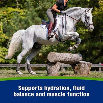 Farnam Apple Elite Horse Electrolytes Powder Supplement, 40 Day Supply