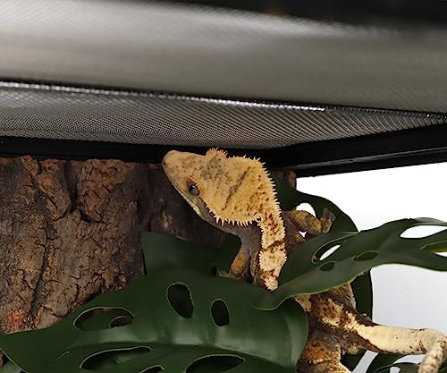 2Pack Fake Monstera Adansonii, Terrarium Plants with Suction Cups