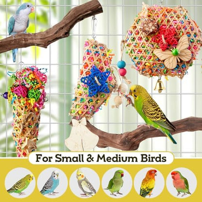 Bird Toys, Parakeet Foraging Toys, Hanging Chewing Toys with Natural Wooden Perches, Bird Cage Accessories, Suitable for Parakeets, Cockatiels, Budgies, Lovebirds & More