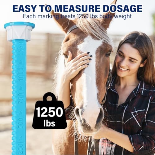 6 Pack (6.08g) Apple Flavored Oral Paste for Horses