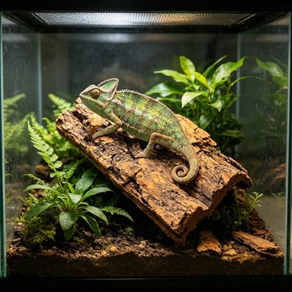 NUOBESTY 8 Pack Cork Bark for Reptile Hides and Terrarium Decorations