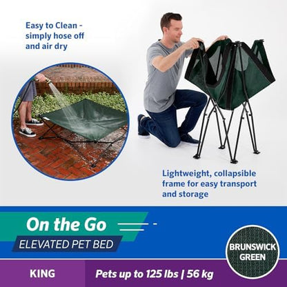 Coolaroo On-The-Go Elevated Dog Bed - Foldable Pop-Up Travel Dog Bed with Breathable, Moisture-Resistant Fabric, Carry Bag Included, Lightweight & Portable, Brunswick Green, Extra Large