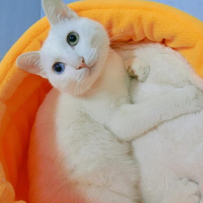 Pet Bed, Small Pet Animals Bed，Warm Cave Nest，Cozy Pet Bed，Kennel Teddy Small Winter Thickened Warm pet cat Litter Closed Four Seasons General cat Villa。 (Color : Brown, Size : Small)