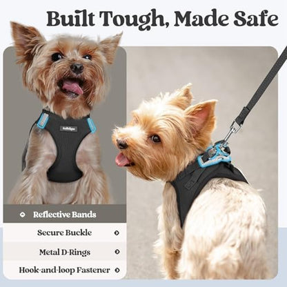 rabbitgoo Dog Harness Medium Sized and Leash Set, Step-in Puppy Pet Vest