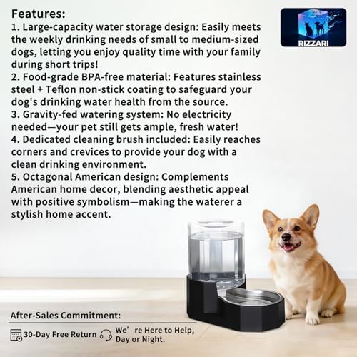 Sfozstra 5L Cat Gravity Water Bowl Dispenser: Stainless Steel Bowl