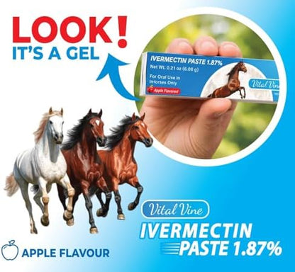 VITALVINE Ivermectin 1.87% Paste for Horses – Apple Flavor 6.08g Syringe, Treats Horses Up to 1250 lbs (1-Pack)