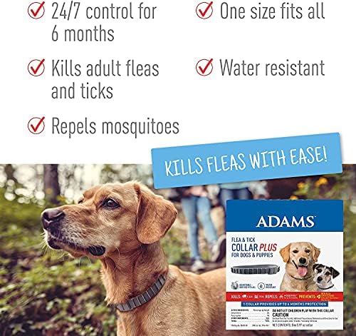 Adams Plus Shampoo 12 oz. + Flea & Tick Collar