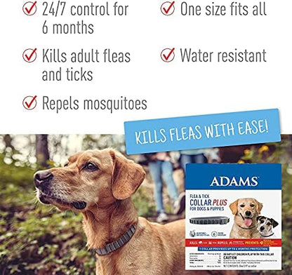 Adams Plus Shampoo 12 oz. + Flea & Tick Collar