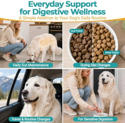 Probiotics for Dogs & Cats, 3 Billion CFU, 120 Soft Chews