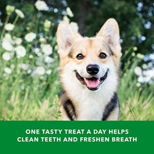 Amazon Basics Dental Dog Treats to Help Clean Teeth & Freshen Breath - Tiny (5-15 lbs), Unflavored (Previously Wag) (Pack of 2)