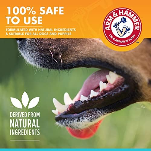 Arm & Hammer Dog Oral Care Breath Spray, Mint Flavor, 4 Fl Oz Bottle, 24-Pk